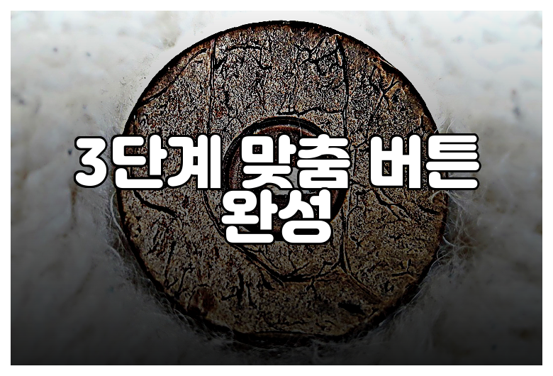 3단계 맞춤 버튼 완성