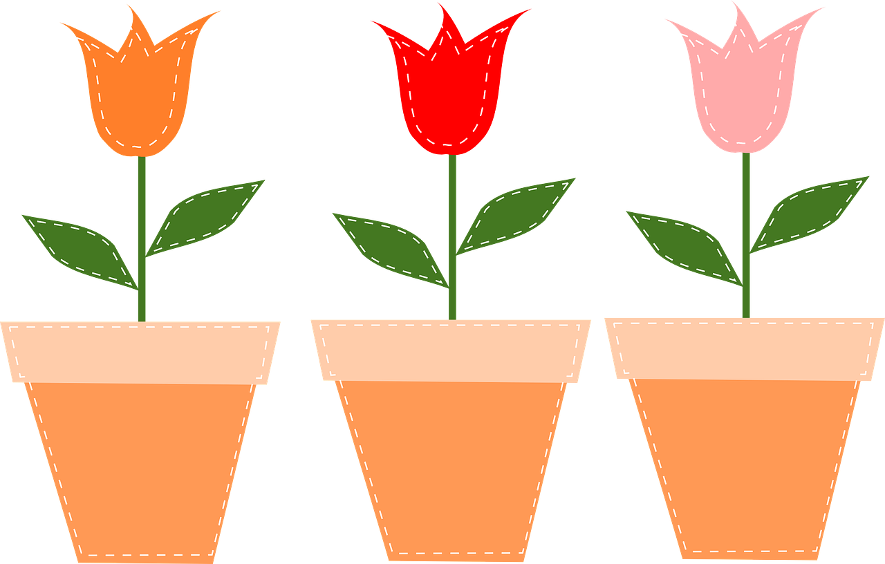 화분 관리 관련 사진