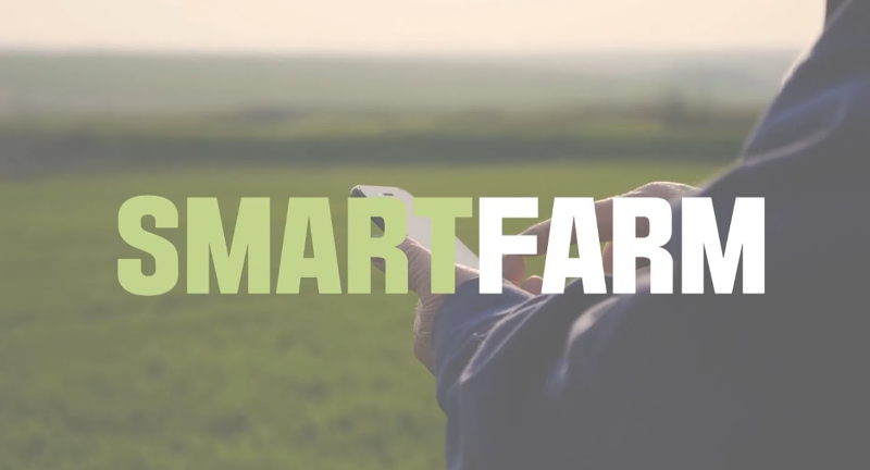 SMARTFRM