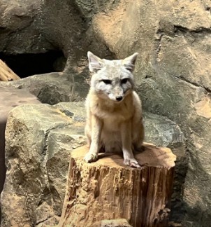 제주 비올때 가볼만한 곳