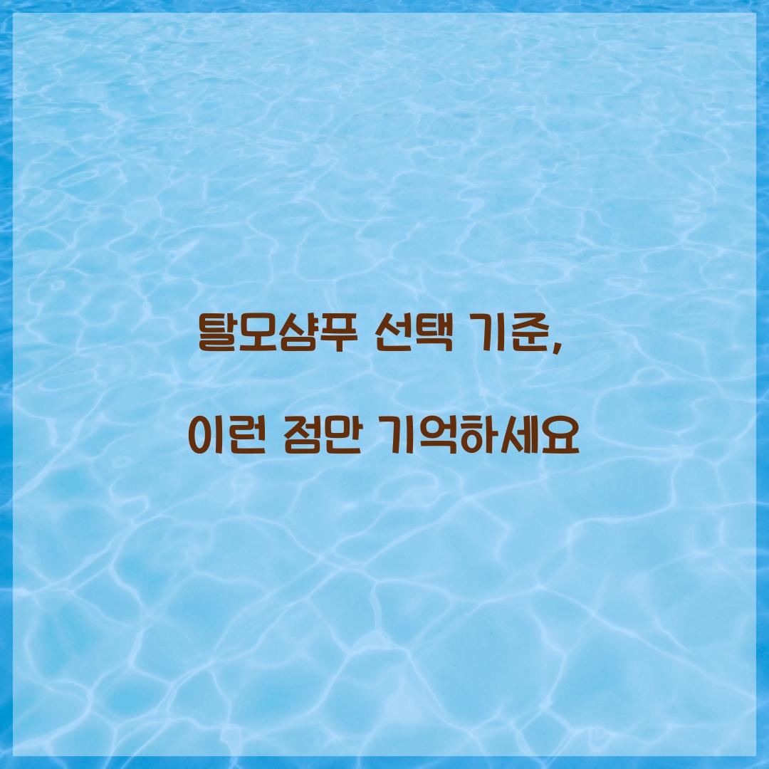 탈모샴푸 선택 기준