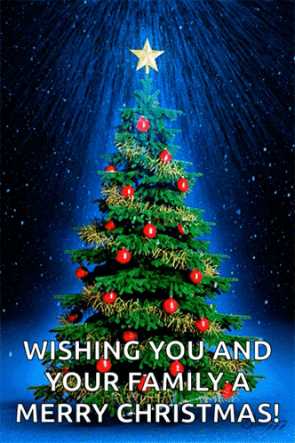 전나무로 만든 크리스마스트리