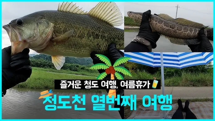 낚시 필드 테크닉 강풍 파도 입질 대응 채비 운영법_1