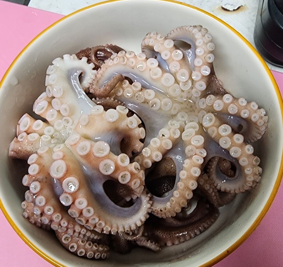 쭈꾸미낚시