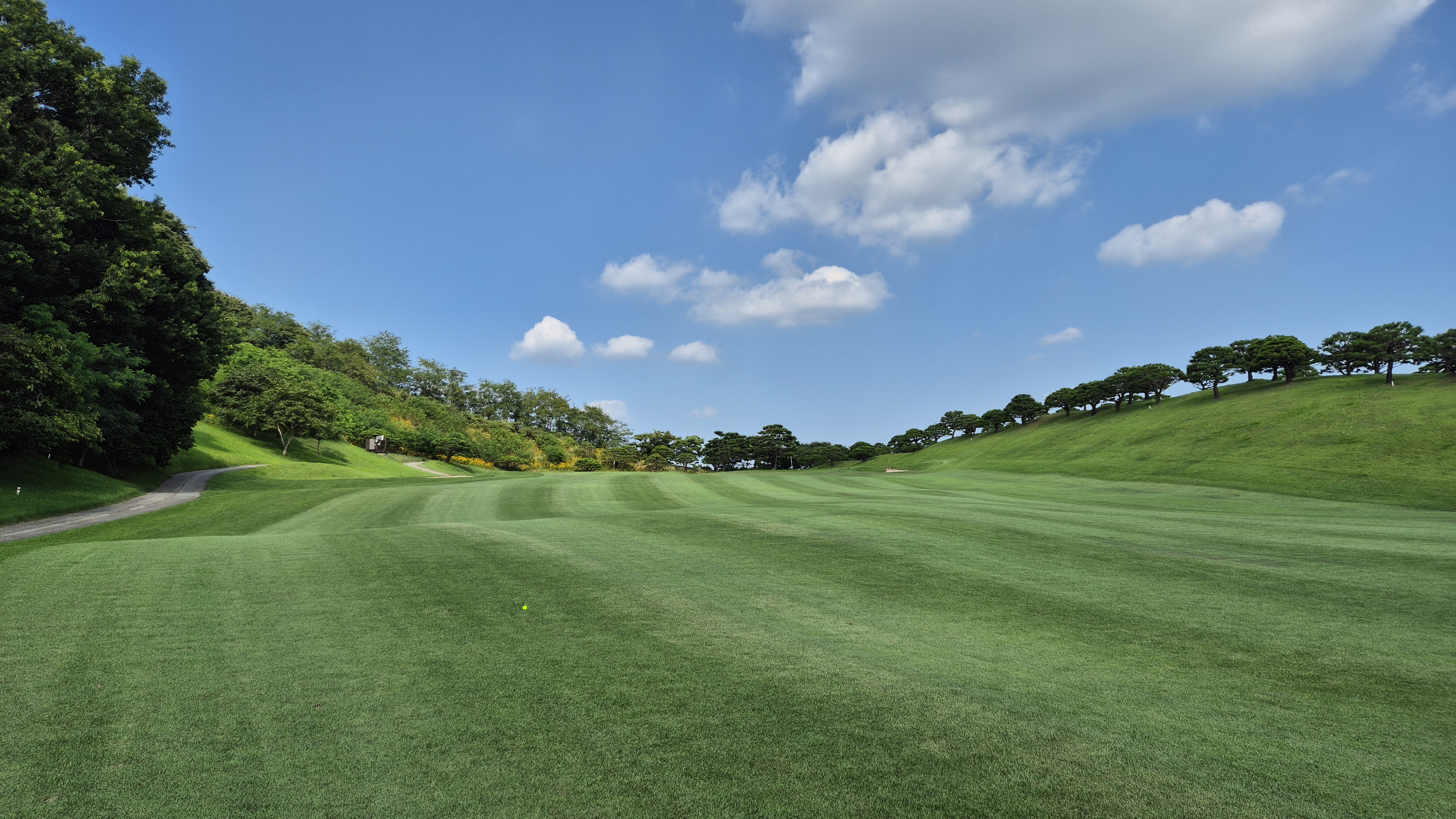 태광cc 북-서 코스 사진 및 공략 정보