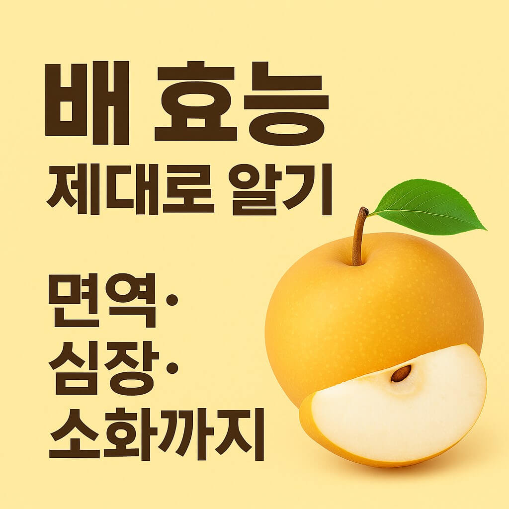 배 효능 제대로 알기 썸네일 이미지