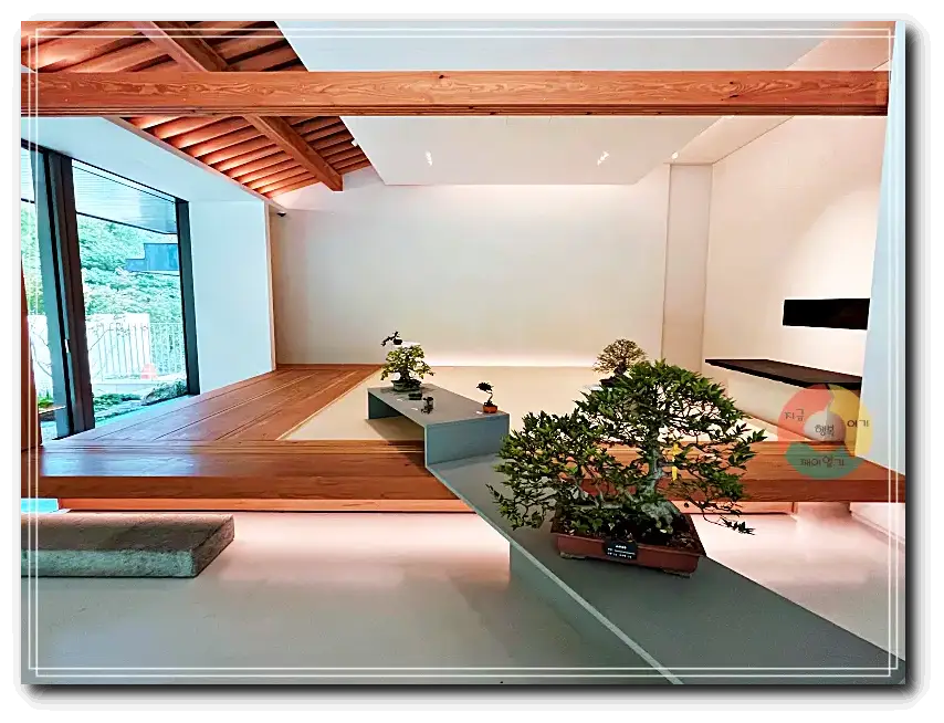 화담채_본채-분재나무-나무기둥-목조지붕-통창