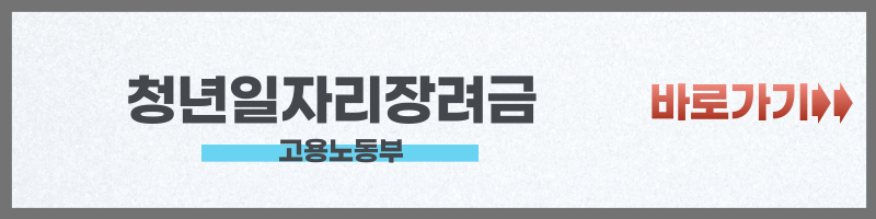 청년일자리도약장려금 사업 (기업 / 청년)