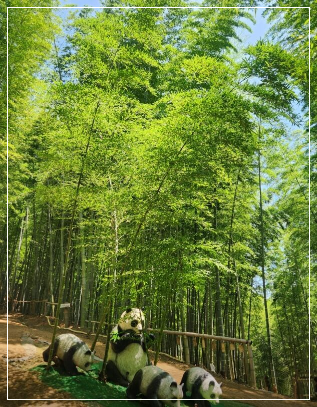 거제도 가볼만한곳 베스트10 거제맹종죽테마파크