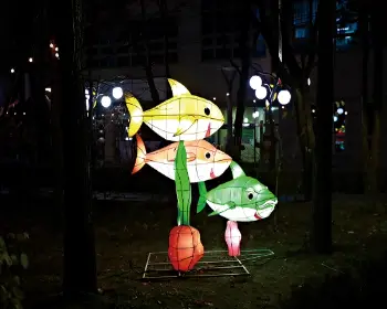 태백산 눈꽃축제_21