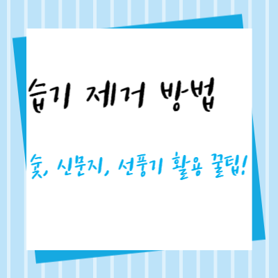 습기-제거-방법