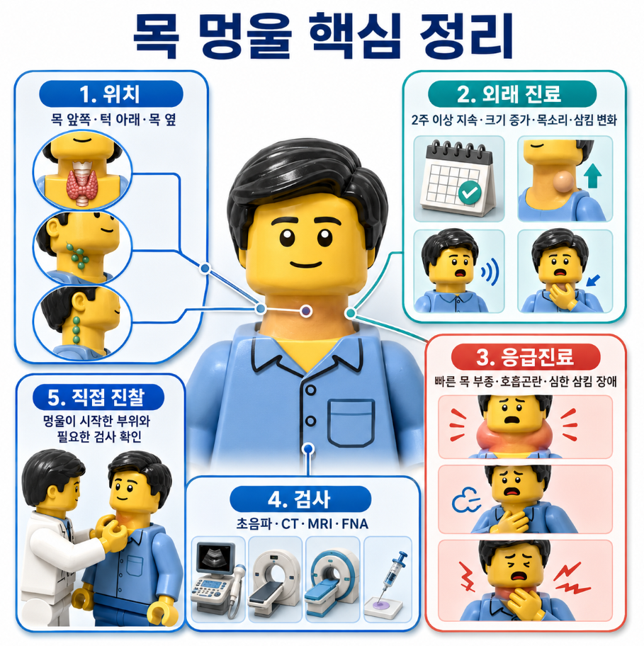 목 멍울 위치와 외래&middot;응급진료 기준 및 초음파&middot;CT&middot;MRI&middot;FNA 핵심 정리