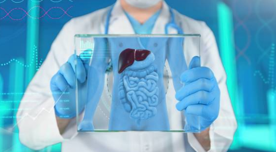 간수치가 높으면 나타나는 증상&amp;#44; 올라가는 이유&amp;#44; 간수치 정상범위 총정리 (2024ver)