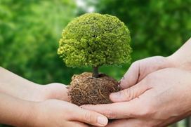 산림자원관리사 1급