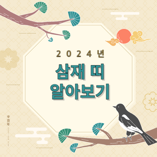 2024년 삼재띠