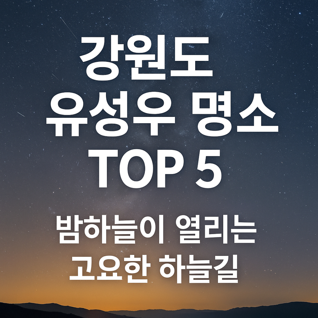 강원도 유성우 명소