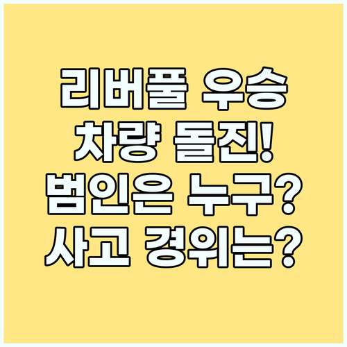 리버풀 우승 축제 차량 돌진, 범인은