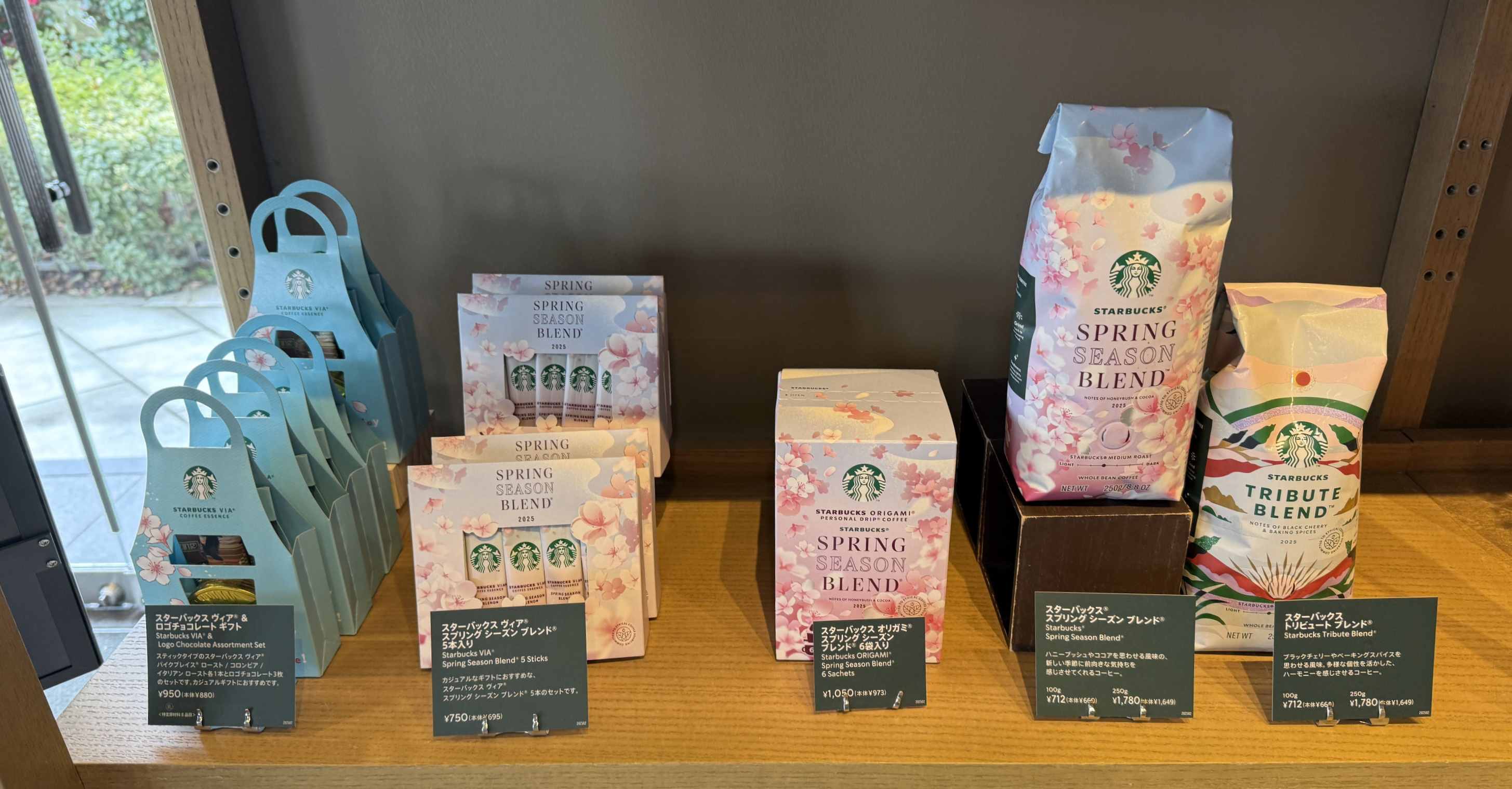 교토 봄 스타벅스