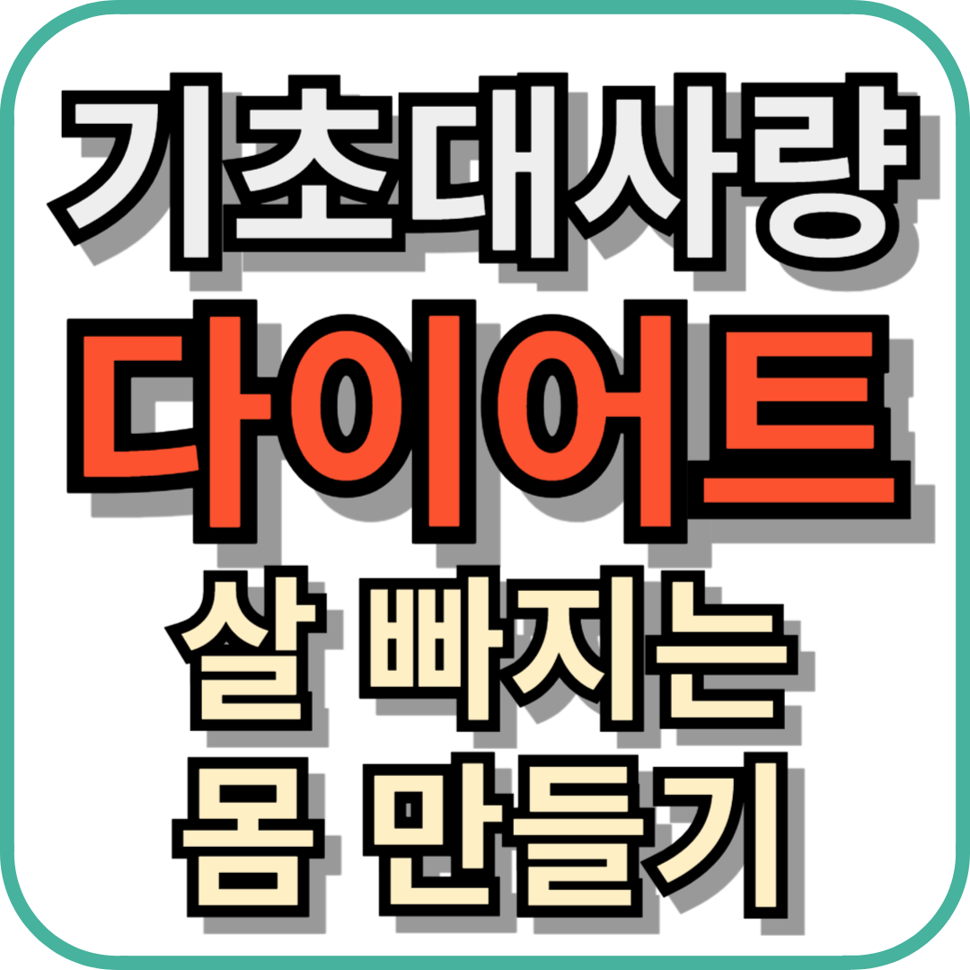 기초대사량과 다이어트의 관계 – 살 빠지는 몸 만들기