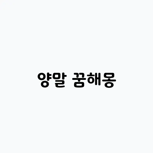 양말 꿈해몽