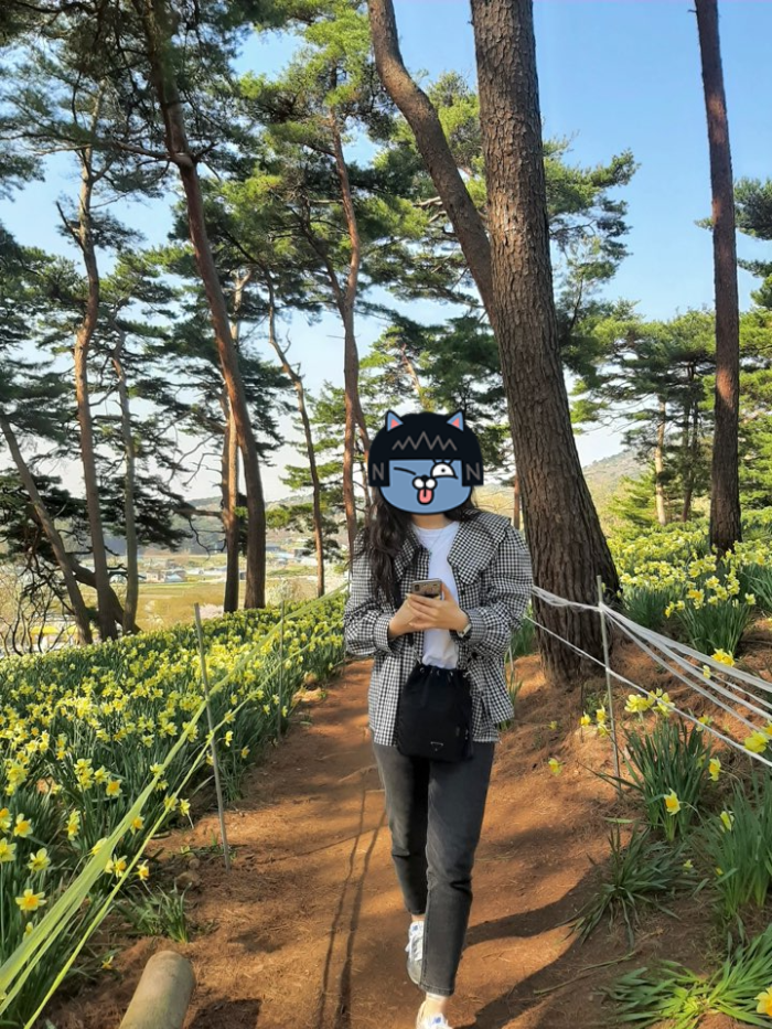 수선화축제-방문사진2