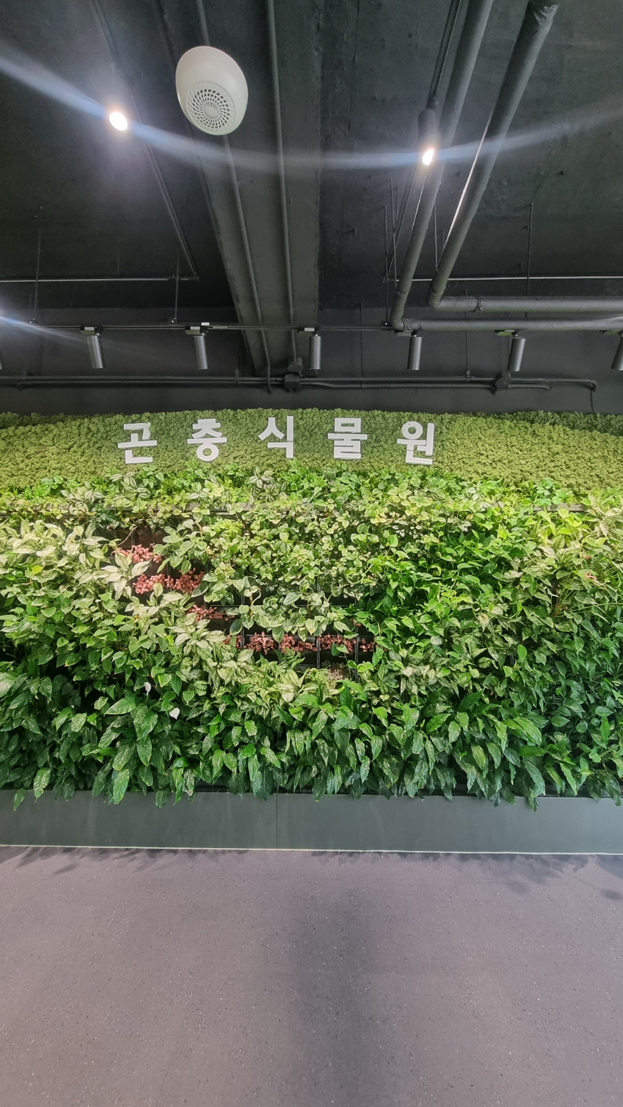 서울숲 곤충식물원