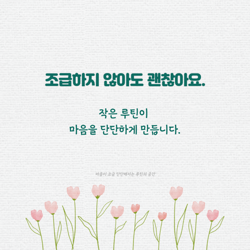 작은 루틴이 마음을 단단하게 만듭니다.