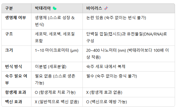 바이러스 vs. 박테리아: 구조적 & 기능적 차이