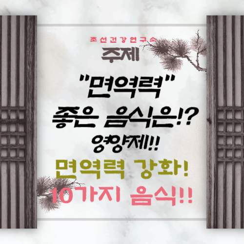 면역력에 좋은 음식 10가지 면역력 높이는 영양제 섭취하기