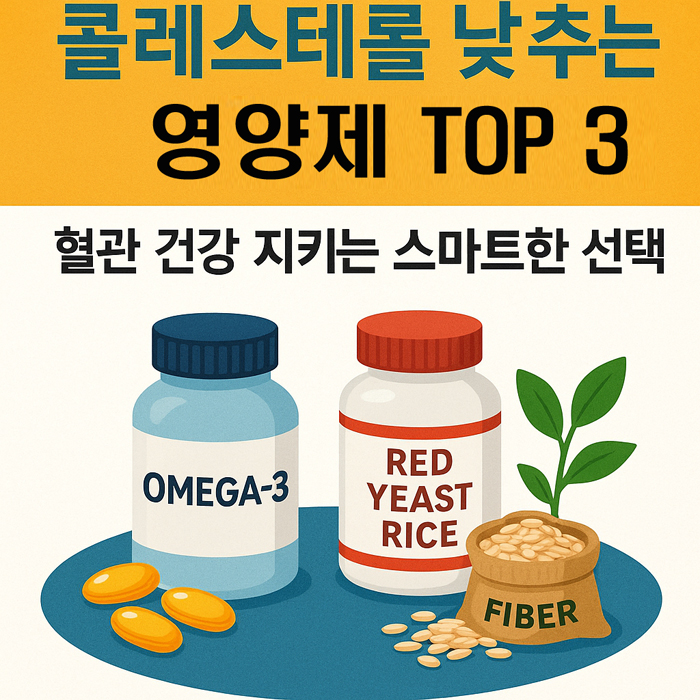 콜레스테롤 낮추는 영양제 TOP 3 | 혈관 건강 지키는 스마트한 선택