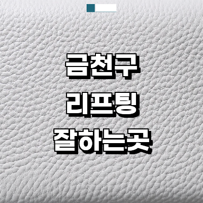 서울 금천구 리프팅 병원