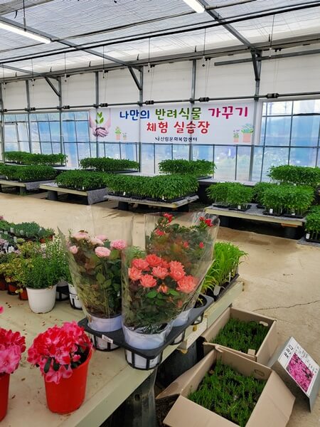 용인시산림조합 화분 모종판매