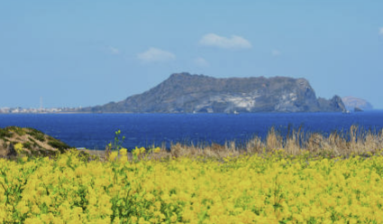 제주도 여행 숙소, 교통 꿀팁 총정리(최신 Ver)