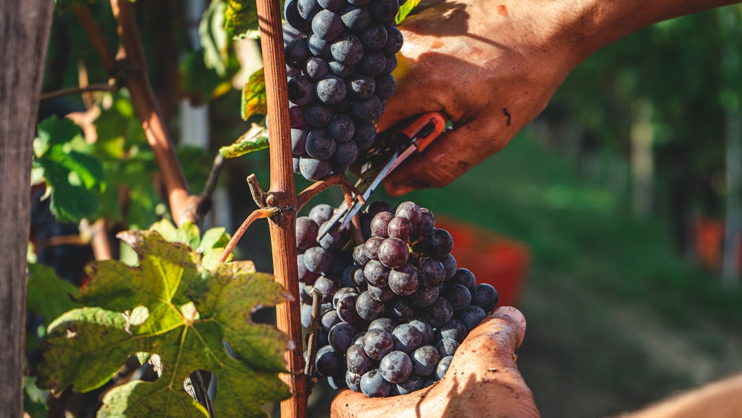 Harvesting