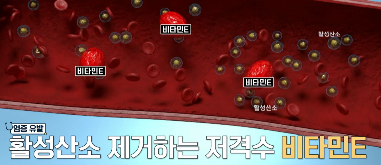 흑염소 진액 효능