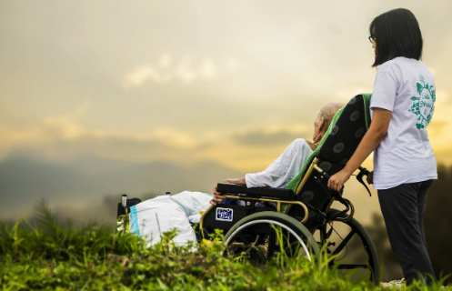 요양보호사 자격증 재발급