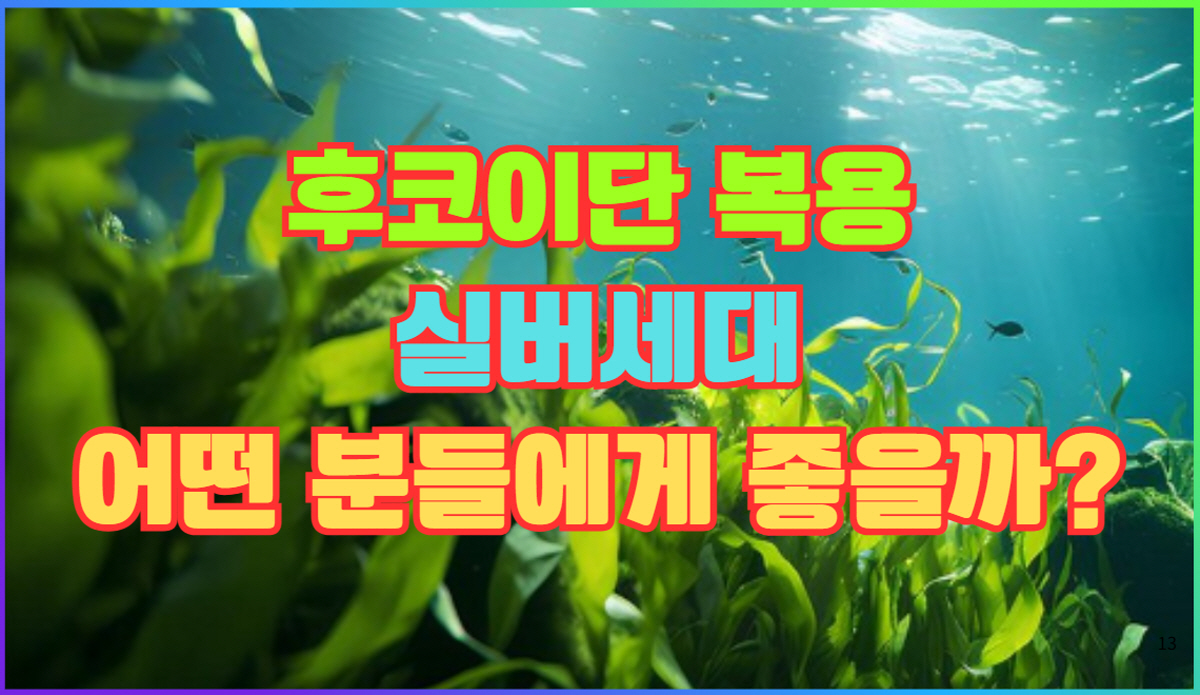 후코이단 복용 실버세대 건강 효과 – 면역력 강화와 암 보조 효능