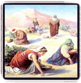 이스라엘 백성 불만 민수기 11장_23