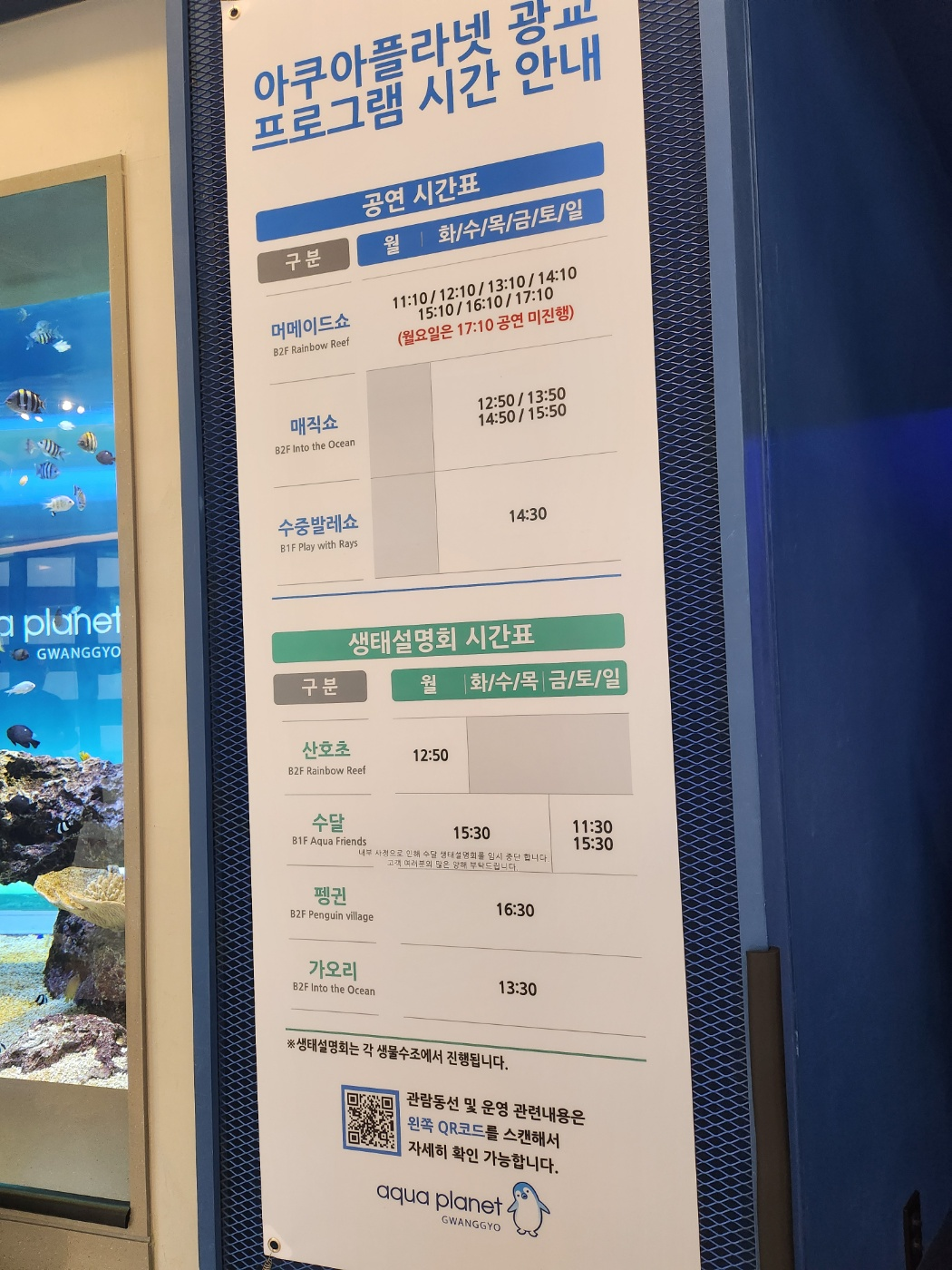 아쿠아플라넷, 프로그램