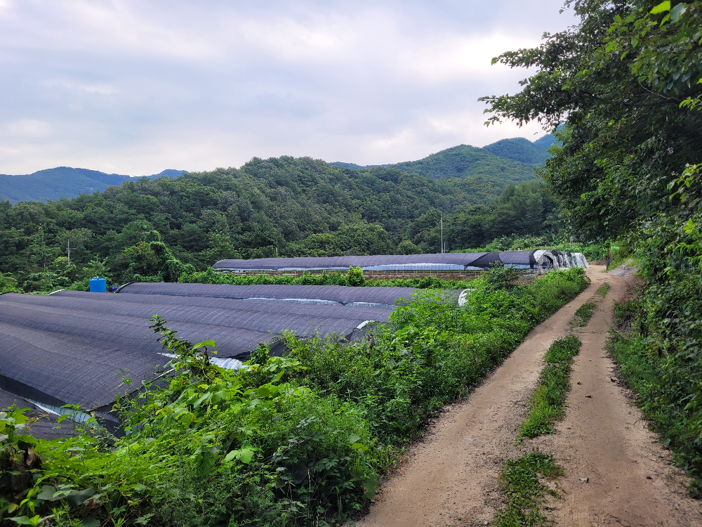 도마치계곡 가는 방법