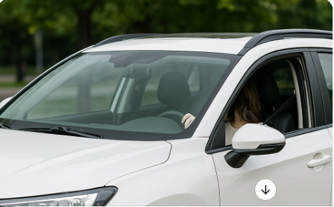 여선운전자인기차량