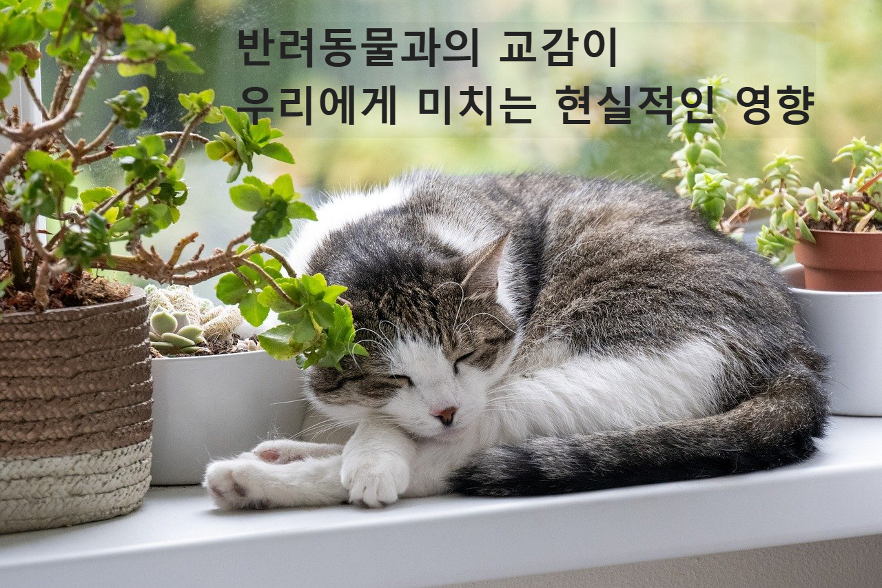 편하게 잠자는 고양이
