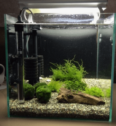 스펀지 여과기&amp;#44; 저면 여과기 차이점