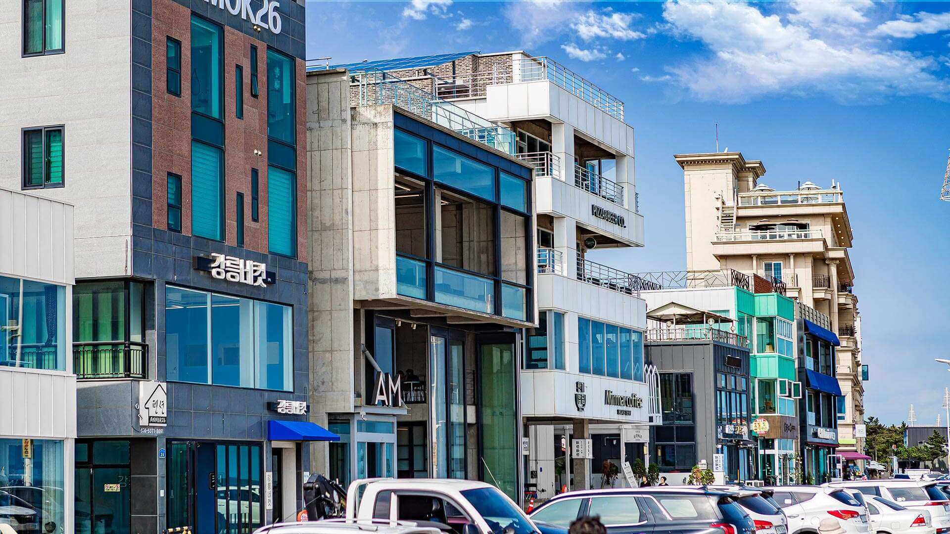 강릉 사근진 해변 유채꽃밭