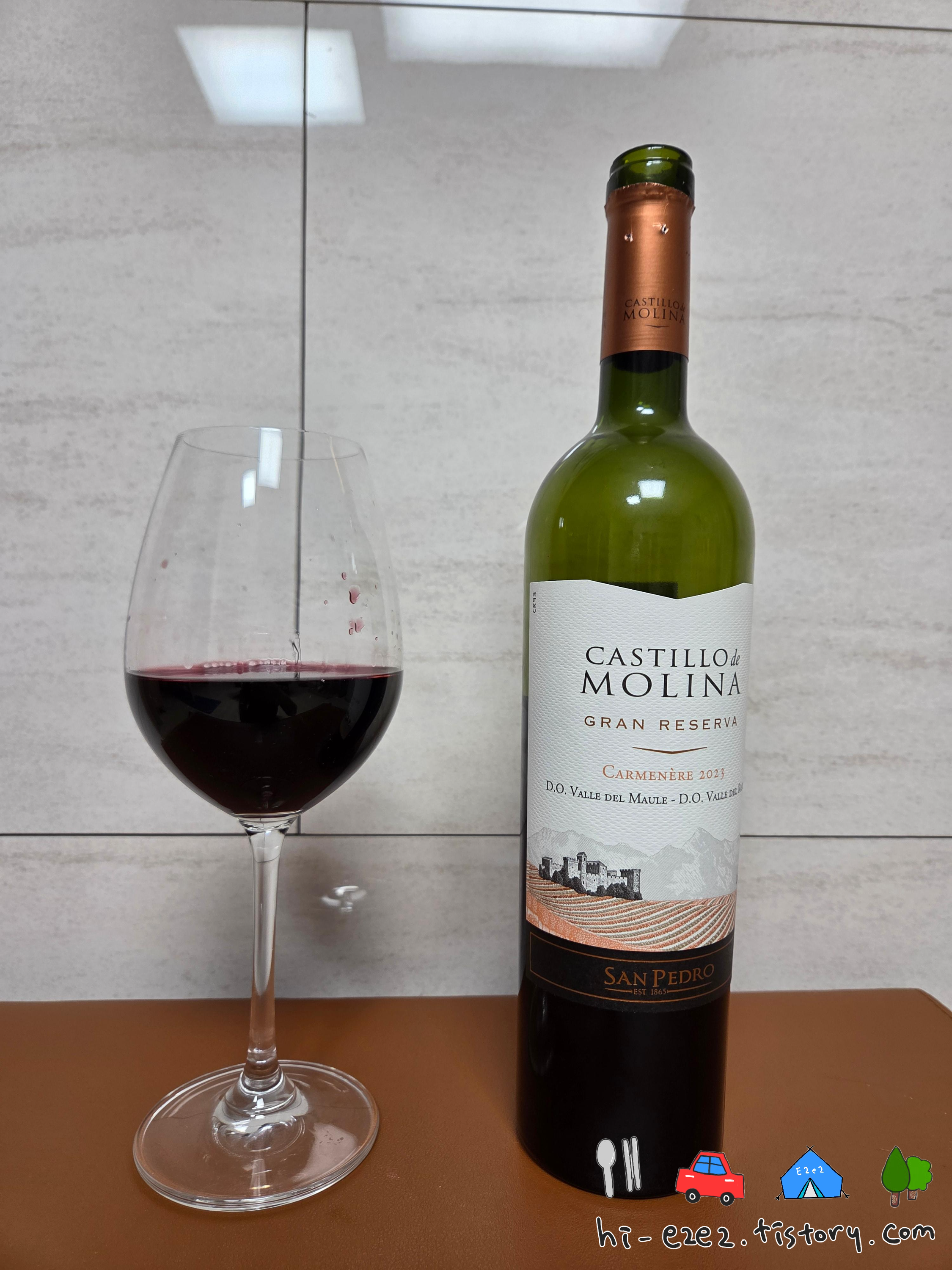 카스티요 데 몰리나 와인잔에 따른 모습