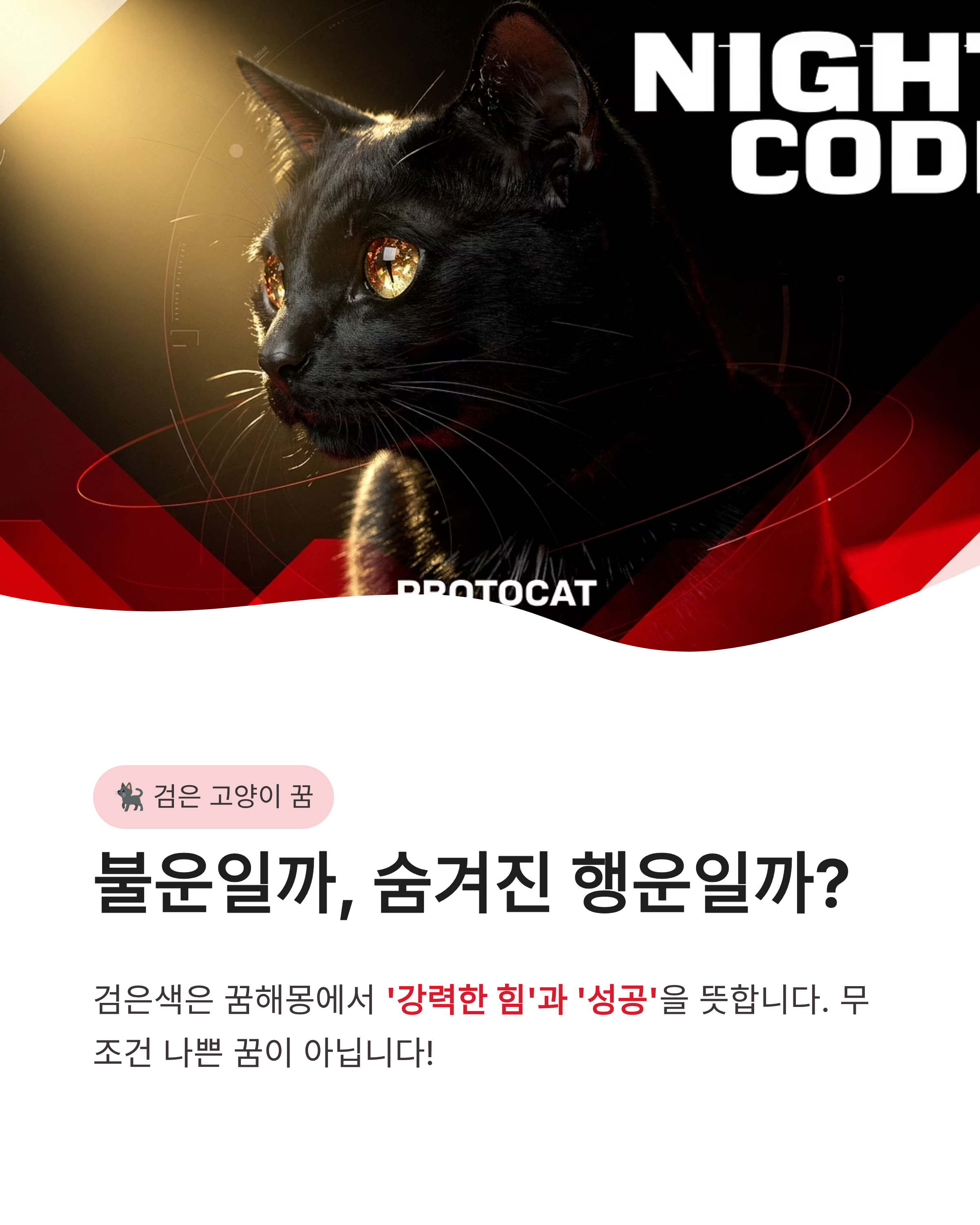 고양이 꿈 해몽 ❘ 할퀴는 검은 고양이 새끼 고양이까지? 행운과 경고의 미묘한 차이 완벽 가이드