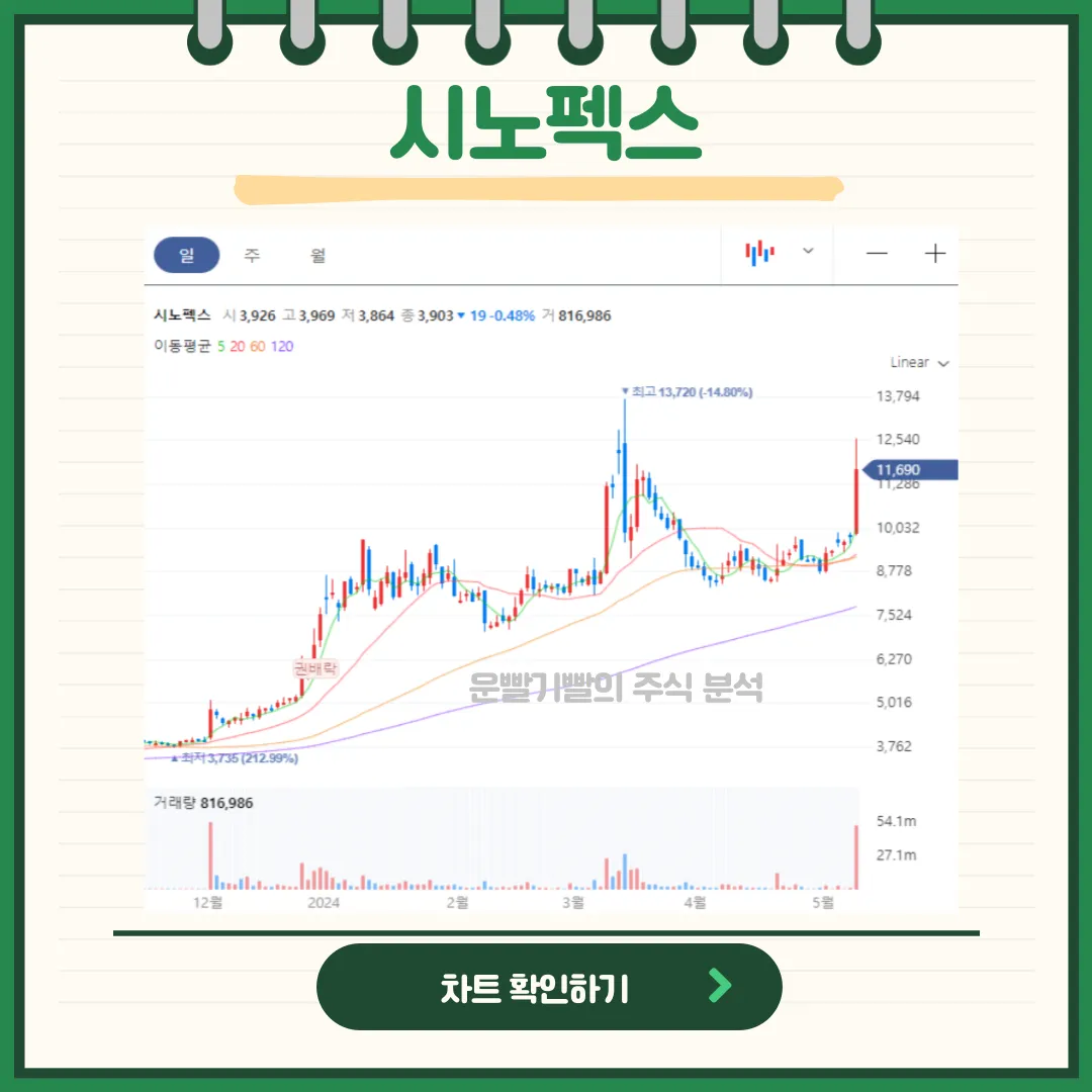 시노펙스 일봉/월봉차트