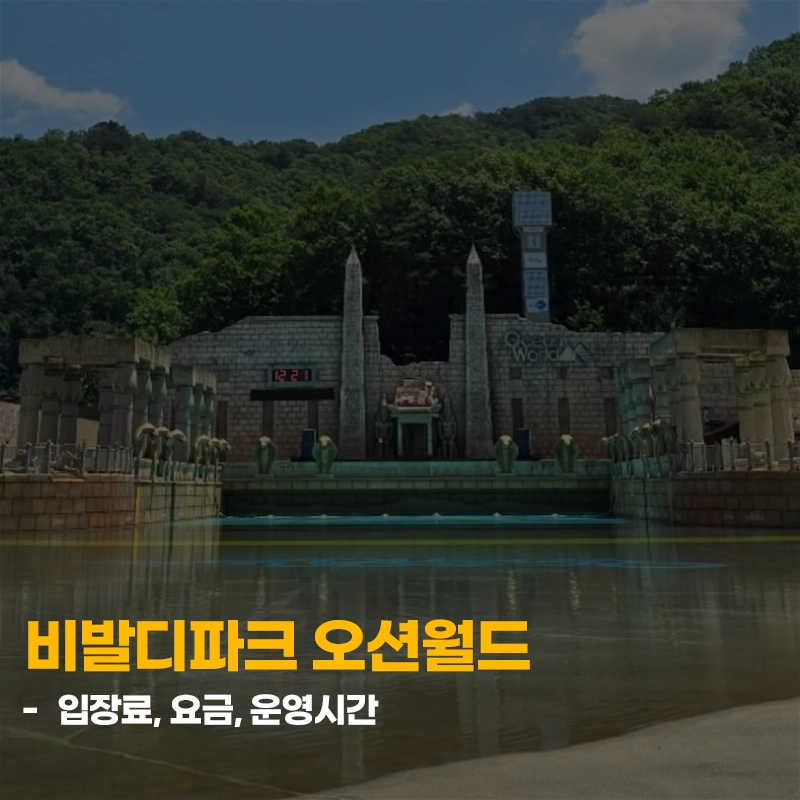 비발디파크-오션월드-입장료-요금-가격-운영시간