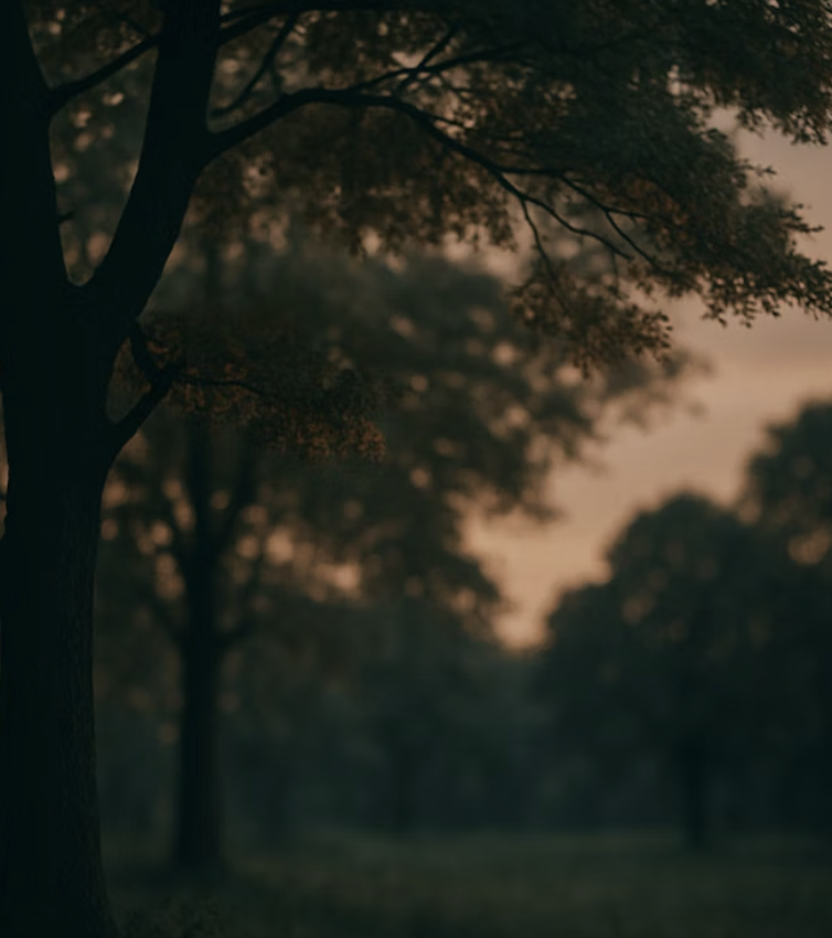 울음소리에 담긴 슬픔