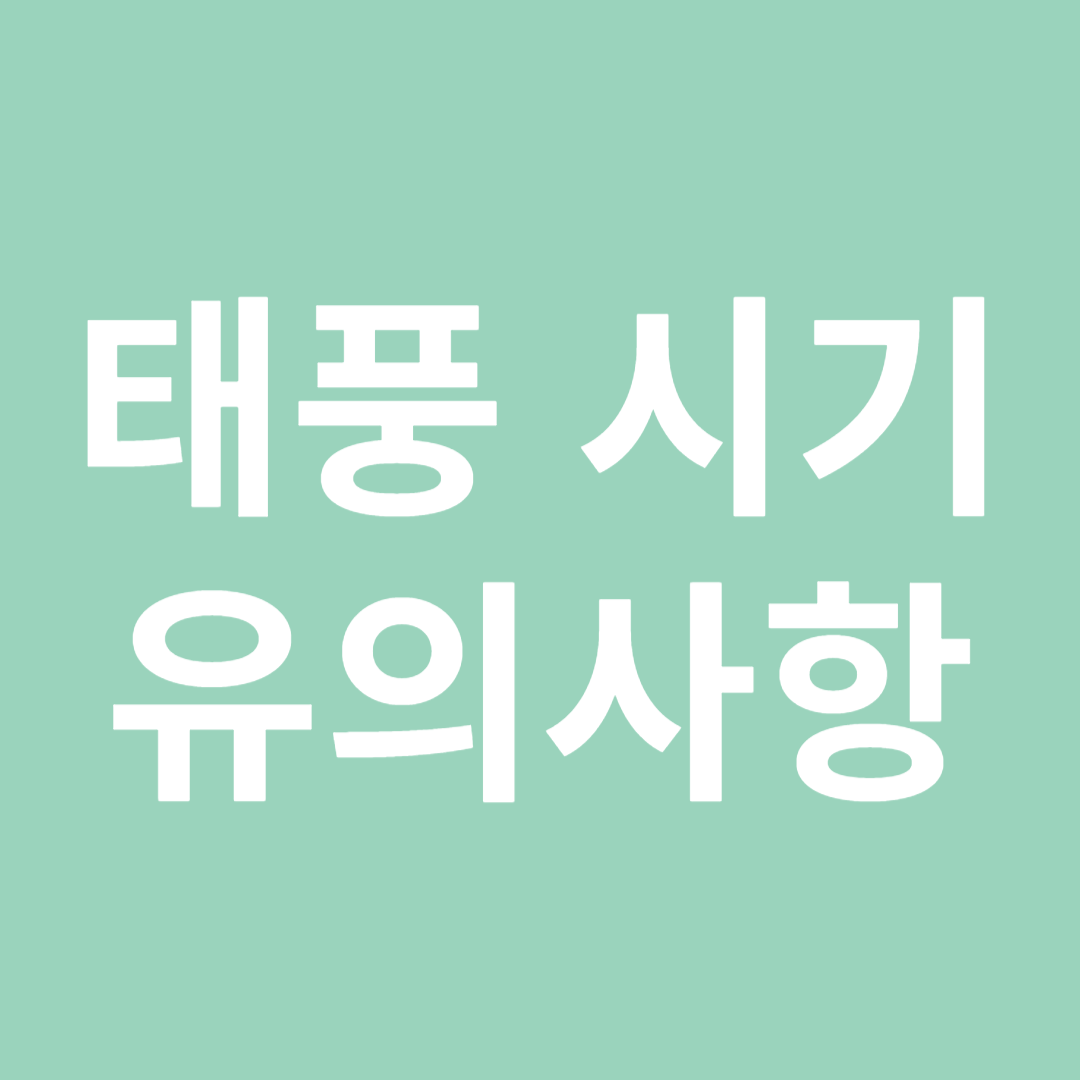 태풍 발생 시기 및 유의사항